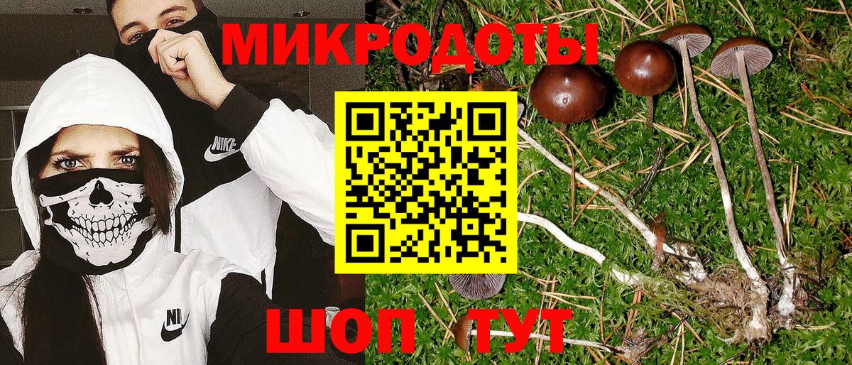 Псилоцибиновые грибы прущие грибы  Вход с VPN  Сегежа 